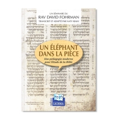 Un éléphant dans la pièce
