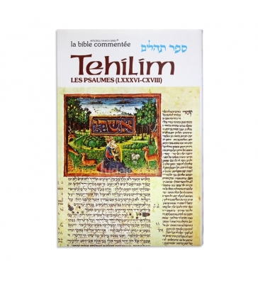 Les Psaumes / Tehilim tome IV (Psaumes 86 à 118)