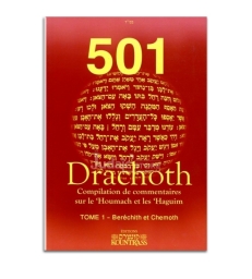 501 Drachot - Tome 1