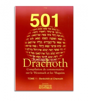501 Drachot - Tome 1