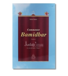 Commenter Bamidbar -Tome 4