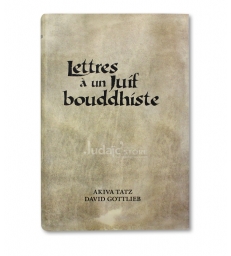 Lettres à un Juif bouddhiste