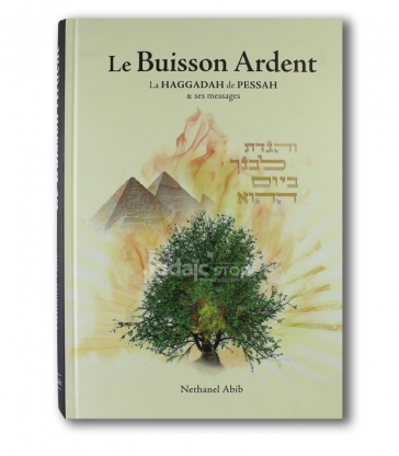 Le buisson ardent: la Haggadah de Pessah et ses messages ABIB Nethanel