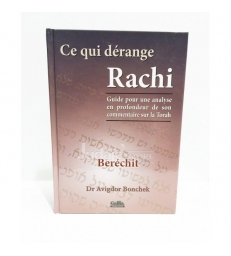 Ce qui dérange Rachi - Bamidbar - Dr Avigdor Bonchek