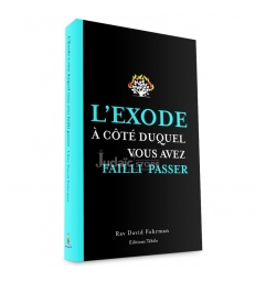 L’Exode à côté duquel vous avez failli passer
