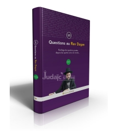Questions au Rav Dayan (tome 6)