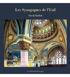 Les Synagogues de l'Exil : Des Synagogues en Europe