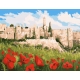 Peinture d’anémone à Jérusalem – peinture par numéros Tamar Zeitlin