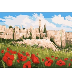 Peinture d’anémone à Jérusalem – peinture par numéros Tamar Zeitlin