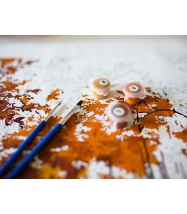 Colombes – peinture par numéros Bilha Golan