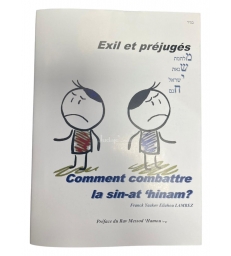 Exil et préjugés - Comment combattre la sin-at tinam?