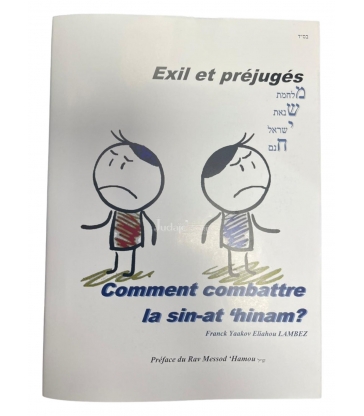 Exil et préjugés - Comment combattre la sin-at tinam?