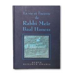 Rabbi Meir Baal Haness