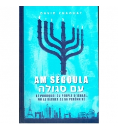 Am Segoula
