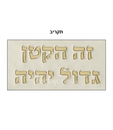Coussin Brit Milah en Cuir