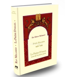 Lois de la prière – Peninei Halakha 