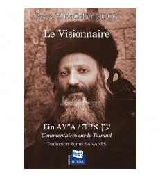 LE VISIONNAIRE EIN AYA