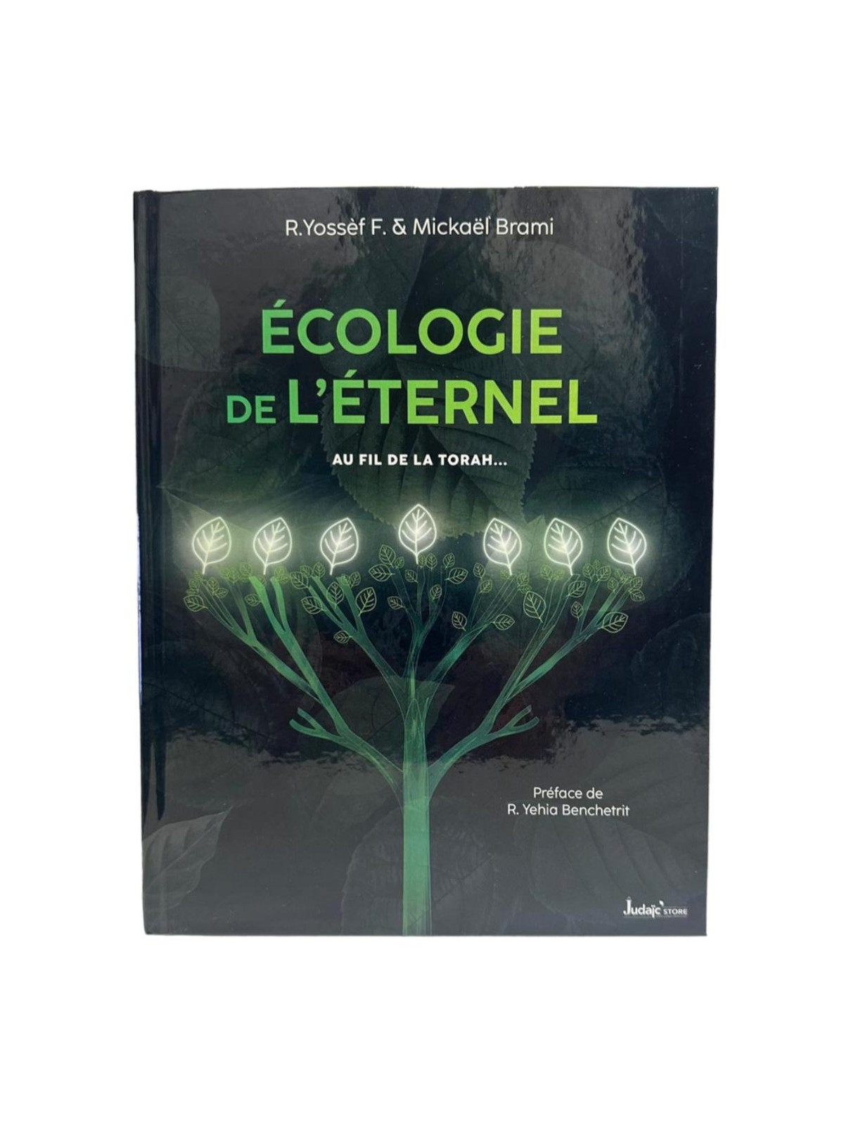 Écologie sur l'Éternel