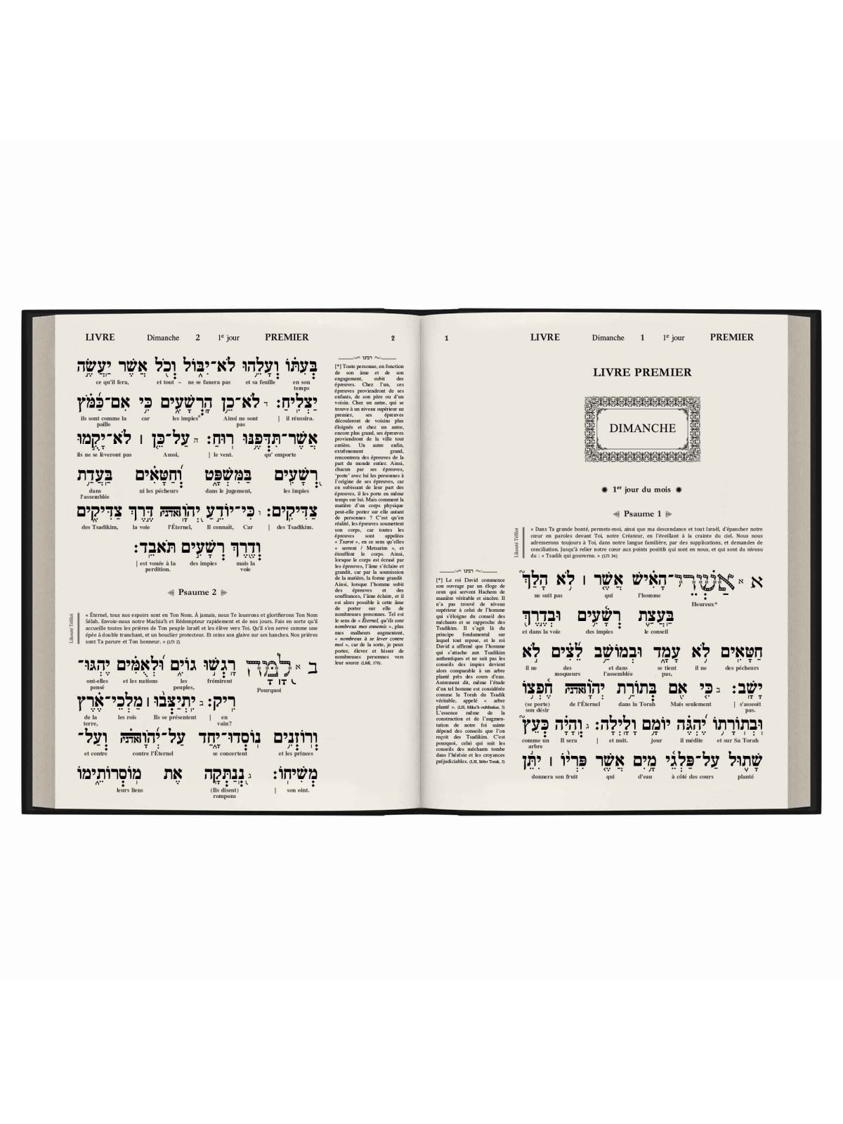 Téhilim de Rabénou