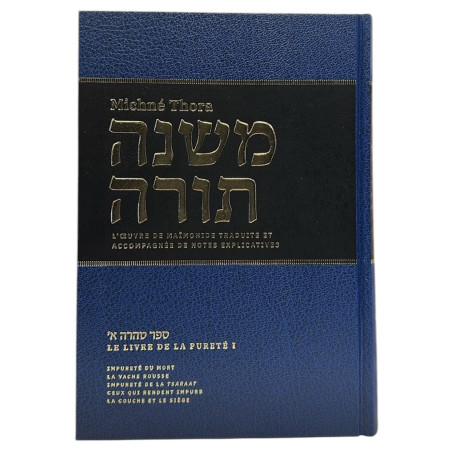 Michné Thora du Rambam vol 11