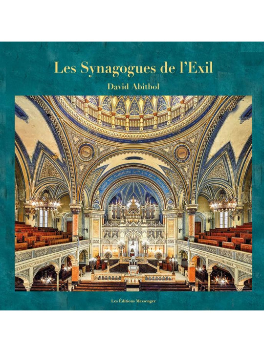 Les Synagogues de l'Exil