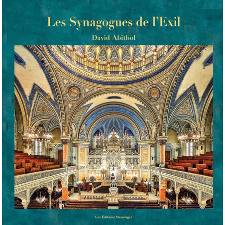 Les Synagogues de l'Exil
