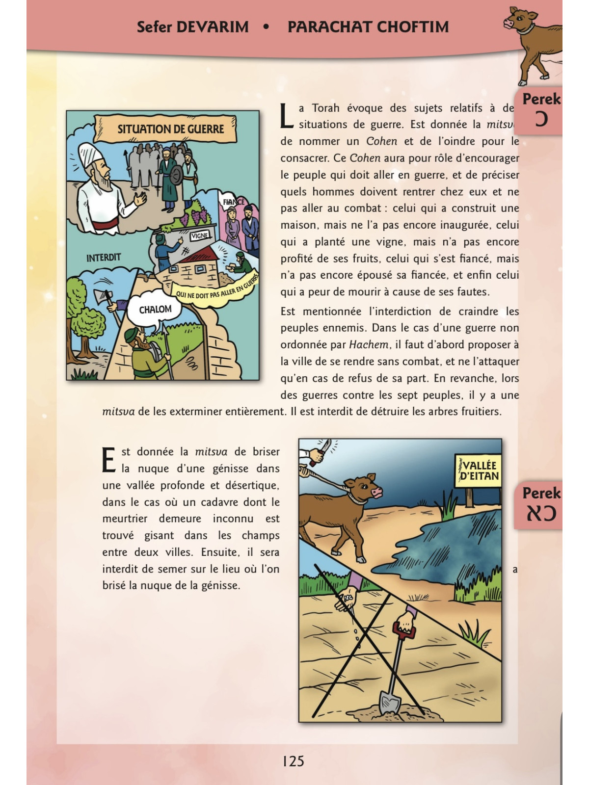 Coffret Torah & Prophètes pour enfants – Rav David Haddad