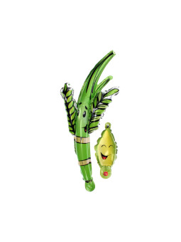 Loulav et Etrog gonflables