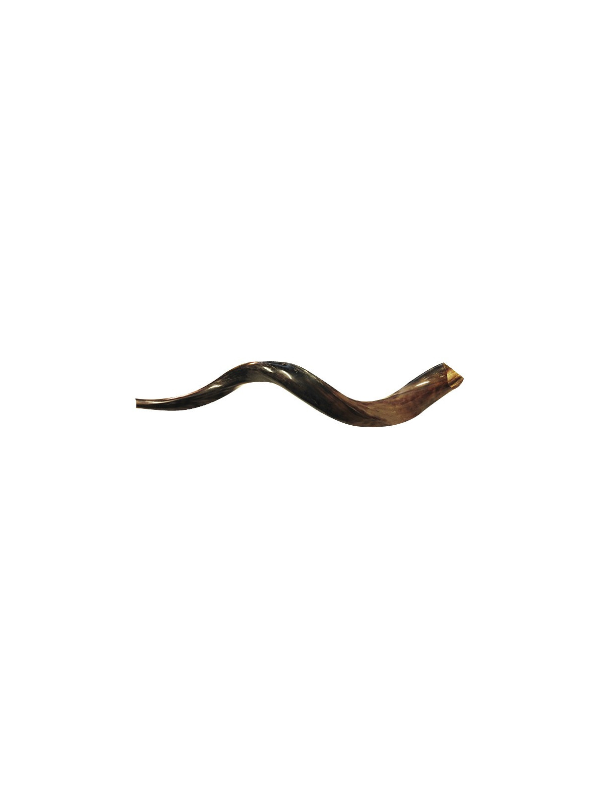 Shofar
